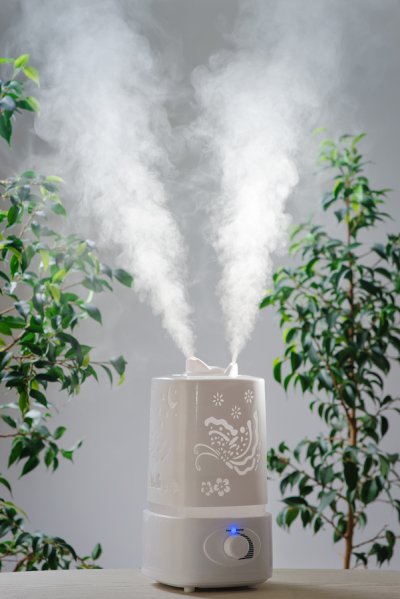 Humidifier air purifier