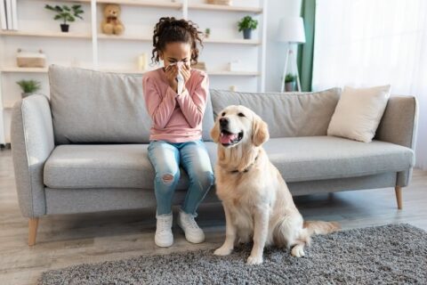 improving indoor air quality for allergies in Annapolis Md