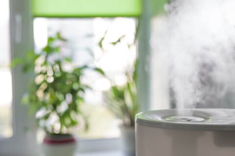 whole house humidifier in Annapolis